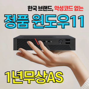 디클 미니PC 윈도우11포함 데스크탑 본체 가정용 사무용 주식용 일체형 올인원, T1-CN5095 RAM 8GB SSD 256GB, 8GB