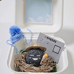 포디움 반려돌 애완돌 펫스톤 키우키 DIY, 단일옵션