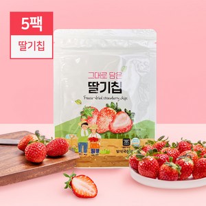 동결건조 생과일 그대로 담은 딸기칩(14g), 5개, 14g