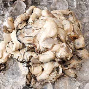 [자연맛남] 국내산 통영 최상급 생굴 2kg, 1개
