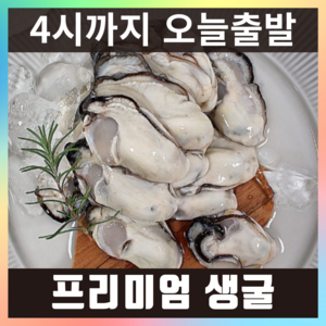 햇굴 생굴 당일작업 깐굴 굴 통영, 1개, 최상급(대굴) 5kg