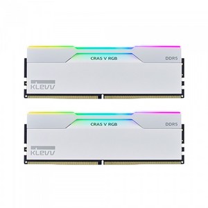 ESSENCORE KLEVV DDR5-6000 CL30 CRAS V RGB 화이트 패키지 서린 (64GB(32Gx2)), 2개