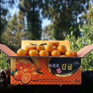 귤담원 제주 제철 감귤, 07.감귤 5kg 로얄과(S/M), 1박스