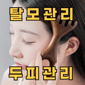 [TBN] 직장인 수험생 학생 스트레스 천연샌들우드 탈모관리 사슴뿔괄사 두피 마사지기, 사슴뿔 샌달우드, 1개