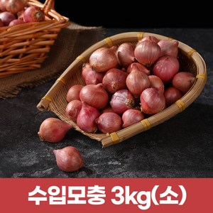 수입모충 샬롯 작은양파3kg (작은사이즈), 3kg, 1개