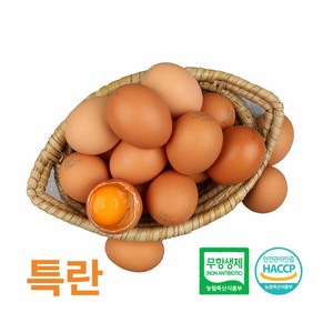 [특란] 알부자집 무항생제 계란 특란 60구(30구X2판), 2개, 30구