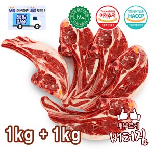 (배터짐) 캠핑가자! 호주 청정지역 냉동 양마호크 양사각갈비 1kg+1kg+2가지 소스 (특가상품), 1개