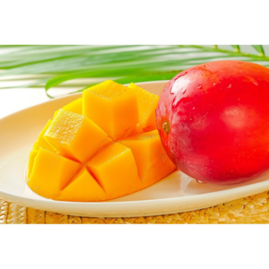 [한정물량] 산지직송 엄격선별 20BRIX 제주애플망고, 1개, 미니500g(4-8과)