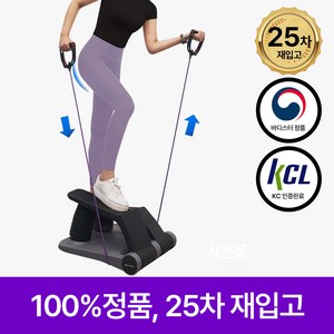 바디스터 펌프맥스 스텝퍼 천국의계단 층간소음 없는 운동 기구, 그레이, 단일사이즈