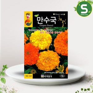 솔림텃밭몰 만수국씨앗 60립 만수국 꽃씨앗 꽃씨 천수국 취부용, 1개