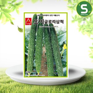 글로리삼척오이 씨앗 50립 여름오이 내서성 내병성, 1개