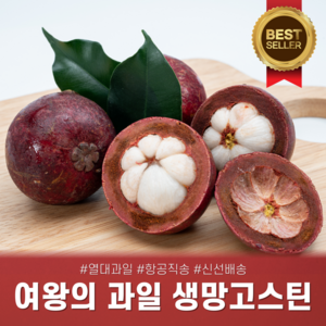 [다정한과일] 태국 열대과일 생망고스틴 (4~7과/망), 1세트, 망고스틴 500g (500g * 1망)