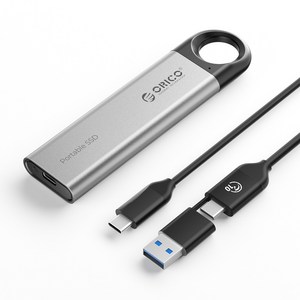 오리코 USB3.2 Gen2 휴대용 외장SSD 하드 드라이브 C10, 256GB