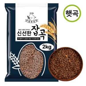 [쌀쌀쌀] 캐나다산 햇 브라운 렌틸콩, 3개, 2kg