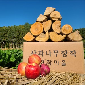 사과나무장작 미니장작 바베큐장작 벽난로장작, 캠핑용 10kg, 1개