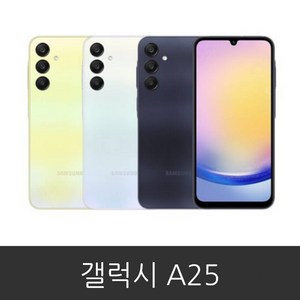 삼성전자 갤럭시 A25 자급제 공기계 미사용 새제품 SM-A256N, 본체단품, 블루 블랙