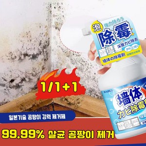 [살균율99.99%] 1/1+1 초강력 곰팡이제거제 욕실 화장실 창틀 곰팡이 얼룩 제거 벽지곰팡이제거 베란다 클리너, 1개, 0.5L