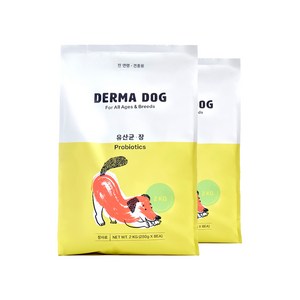 더마독 전연령 유산균 강아지 건강사료 기능성 사료, 소화기능 개선, 2kg, 2개