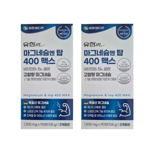 유한메디카 마그네슘 엔 탑 400 맥스 108g, 90정, 2개
