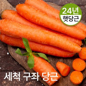 산지직송 제주 구좌 당근 2kg 3kg 5kg 특품 못난이 흙당근 세척당근, 1개, 세척당근 중 5kg