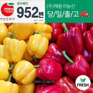 <해돋이농산> 국내산 못난이 파프리카 빨강 1kg 2kg 1박스 (4.5kg내외), 1개