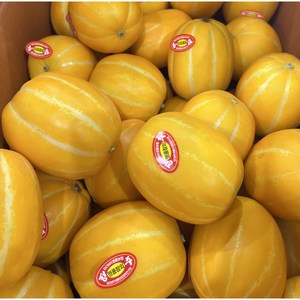 성주 꿀 참외 산지직송 성주참외 가정용 10kg 당일출하, 1박스
