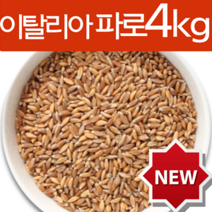 하늘정연 Fao 이탈리아 파로 곡물 파로쌀 고대곡물 엠머밀 효능 엠머파로, 4개, 1kg