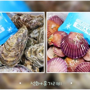 통영 성우수산 산지직송 깨끗한 프리미엄 세척 석화+홍가리비 세트상품 완벽세척, 석화, 1박스, 5kg