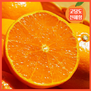 [만족도100%도전] 초고당도 14브릭스 과즙폭발 천혜향, 1개, 3kg