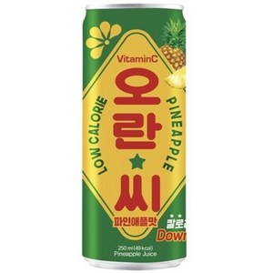 동아오츠카 오란씨 파인애플 캔, 250ml, 30개
