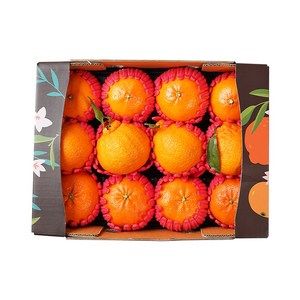 고당도 제주 만감류 선물세트, 레드향+천혜향+한라봉 3kg 9과-12과, 1box