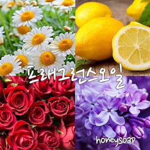 [허니솝] 프래그런스 오일 20ml 50ml 100ml 비누만들기재료 화장품DIY, 02. 라벤더f.o x 100ml