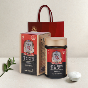 정관장 홍삼정환 + 쇼핑백, 168g, 1개