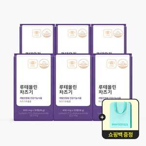 피토틱스 PFA 피파 루테올린배당체 차즈기추출물 눈건강 600mg X 30정 1개월분, 6개