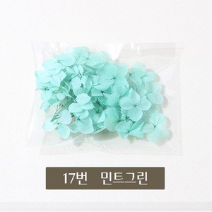 화연양화 프리저브드플라워 수국 1g 30색 유치원 초등학교 DIY재료, 17 민트그린