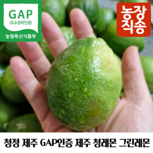 제주 GAP인증 제주레몬생과 제주그린레몬 제주청레몬 제주도산레몬 국산제주레몬 제주산생레몬 제주레몬생과 제주도친환경레몬 제주레몬gap 제주햇레몬 제주왕레몬 제주노란레몬, 1개, 제주레몬 2kg