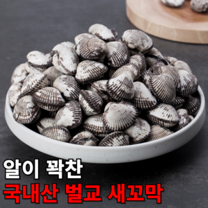 큰바다 국내산 조업한 제철 남해안 여수 벌교 새꼬막, 1개, 상5kg