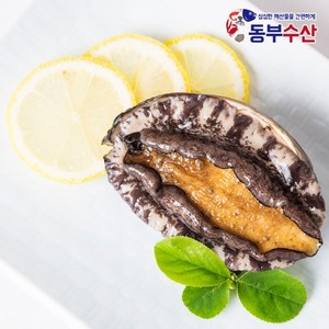 동부수산 완도 살아있는 전복 손질 냉동 꼬마전복 장 구이 횟감용 다양한 구성, 1개, 활 꼬마전복 7마리_(kg=30~35미)