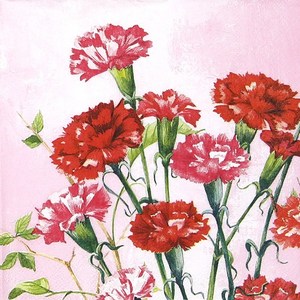 카네이션 냅킨 K-20-049, 믹스, 1세트, 20개