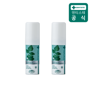 덴티스테 브레스 구강스프레이, 15ml, 2개