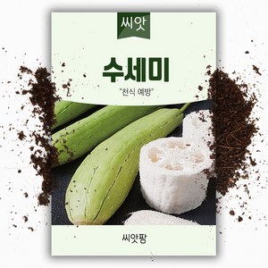 수세미씨앗 (10립), 1개