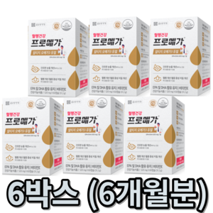 종근당건강 프로메가 알티지오메가3 듀얼 수량선택 3-6개월분 어취안나는 알티지 RTG오메가3 혈행건강 눈건조 중성지질개선에 도움을 줄 수 있음 식약처인증 개선기능성 영양제, 6개월분 세트 - (총6박스), 60개