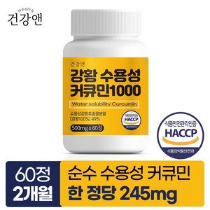 강황 수용성 커큐민 1000 식약청인증 HACCP 건강앤, 60정, 1개