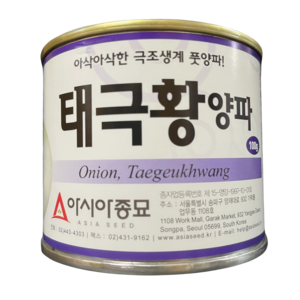 태극황양파 100g 극조생종 양파 씨 종자 빠른 수확 풋양파 아시아종묘, 1개