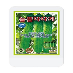 [OK씨앗] [늘품다다기오이] 오이씨앗 종자(오케이씨앗), 1개