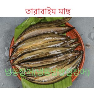 S.N FOOD 냉동장어(냉동남방걸장어)(LESSER SPINY EEL)500G*미얀마, 500G, 1개