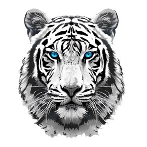 백호 스티커 자동차데칼 호랑이대형스티커 바이크 화물차 스티커 차량용 스티커, 대형, 1개, A-2