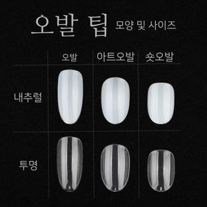 네일 리필 팁 (50입) / 오발 오벌 아트오발 숏오발 패디 인조 손톱, 패디 투명 4호, 1개