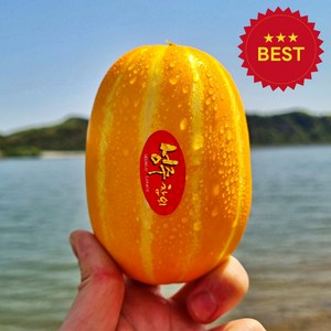 (농부 직배송) 당도보장 성주 꿀 참외, 10kg 소과 (41~50과 내외), 1개