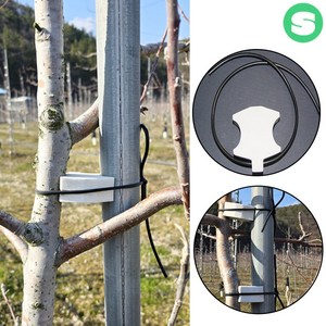 나무사이 끈포함 500개 스펀지 묘목과지주고정 과수자재 상인농자재, 1세트